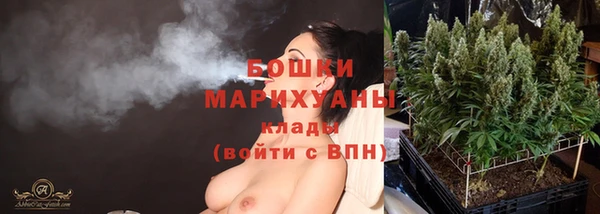 гидропоника Белокуриха