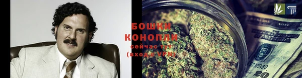 гидропоника Белокуриха