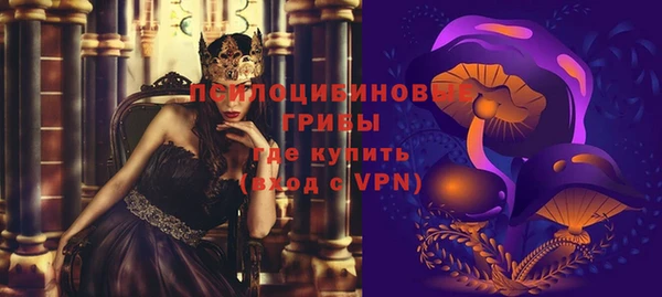 гидропоника Белокуриха