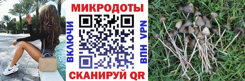 Галлюциногенные грибы MAGIC MUSHROOMS  где можно купить   мега ONION  Верхоянск 